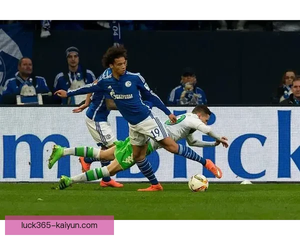 博阿球队结构分析：卫冕之路状态稳健，战术执行受到期待